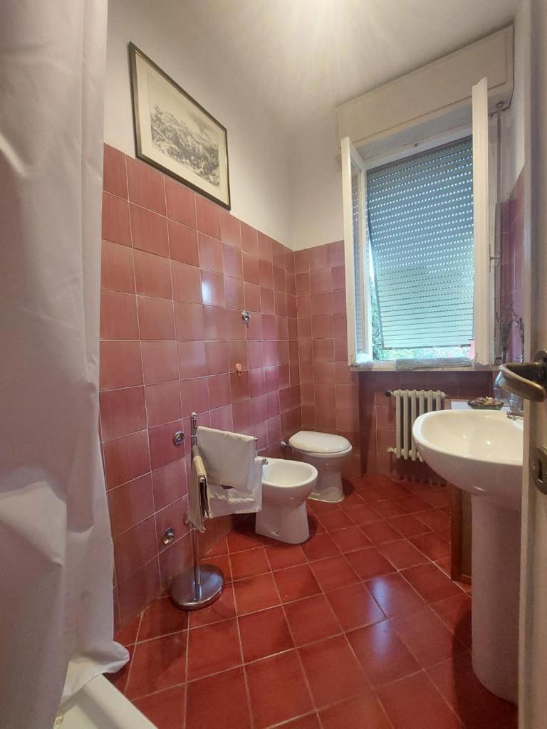 Apartament Sauro 43 Piza Zewnętrze zdjęcie